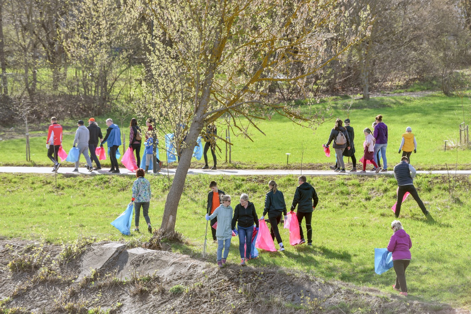 Iki akcijos rengėjų siekiamybės – Panevėžys be šiukšlių – kol kas dar labai toli. Praėjusį savaitgalį miesto viešosiose erdvėse į maišus atliekas rinkusių talkininkų laimikis – beveik trys tonos „dovanų“.